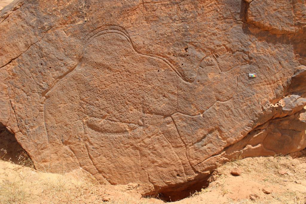 Arte rupestre de tamanho real retrata vida na pré-história no deserto; confira imagens