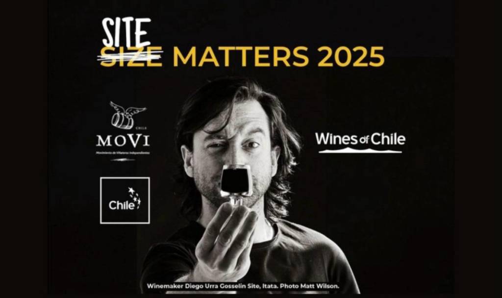 Tamanho importa? A resposta dos vinhos do Chile para esse dilema