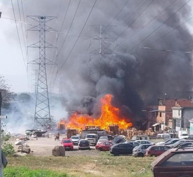 Incêndio no Rio matou 19 animais – entre cachorros, gatos, jabutis e até cavalo