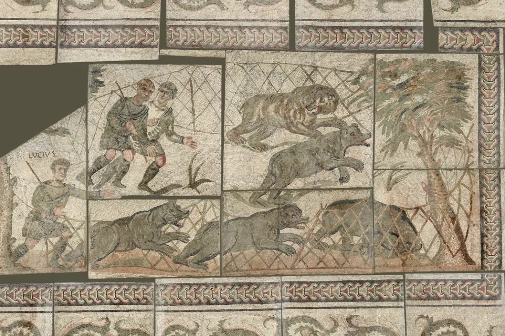 Crânio de urso mostra brutalidade em espetáculos do Império Romano