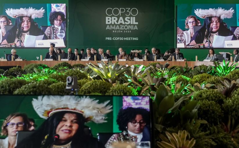 Pré-COP investiu em uma minifloresta na plenária das discussões