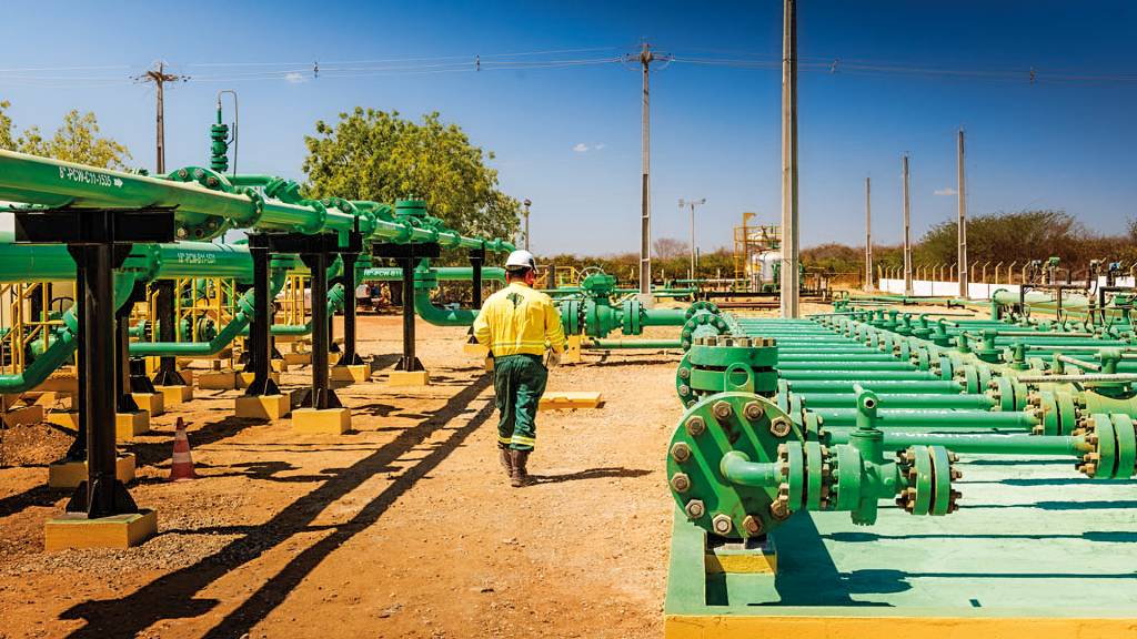 PetroReconcavo: Júnior com alma de veterana