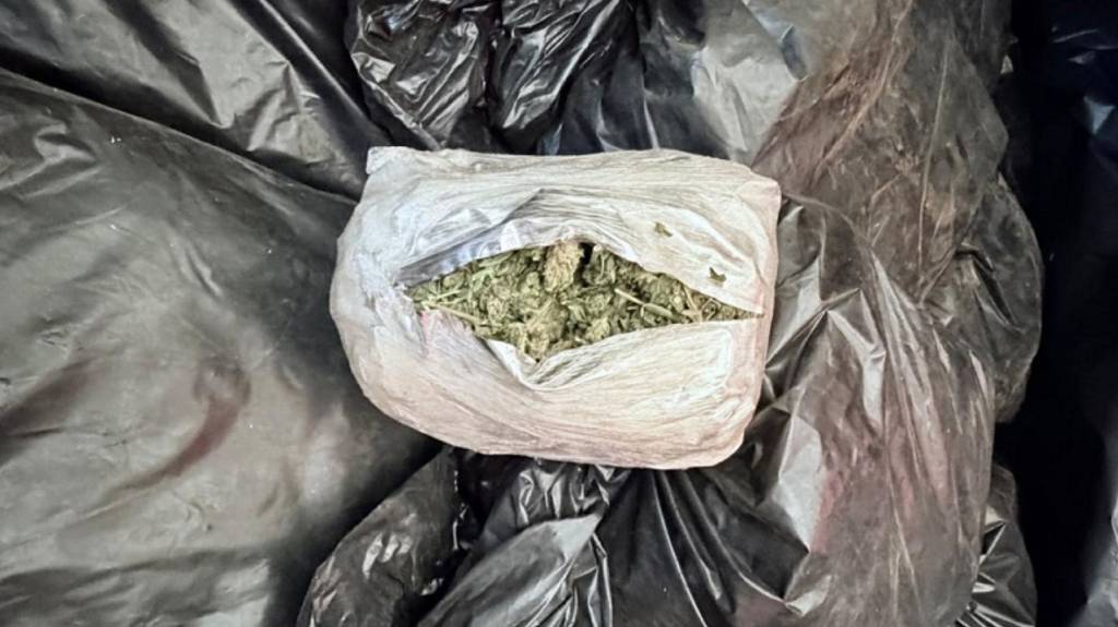 ‘Supermaconha’: o que é a droga cada vez mais potente e disseminada no Brasil