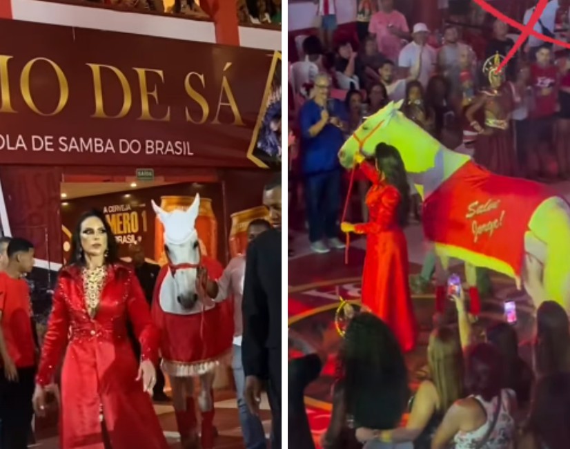 Rainha de bateria leva cavalo para ensaio de Carnaval e causa revolta