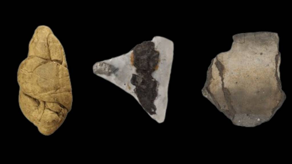 ‘Chiclete’ de 6 mil anos traz pistas sobre papéis de gênero no passado