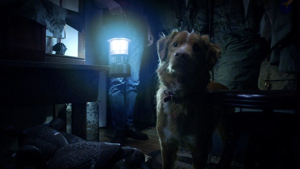 Antes de ver ‘Bom Menino’, conheça site que alerta se cachorros morrem em filmes