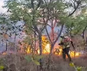 Fogo consome região de trilhas históricas de Minas Gerais