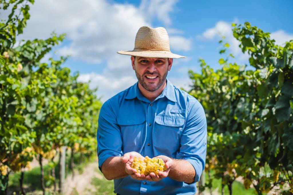 Por que um grande produtor de vinhos nacionais vai abandonar os tintos