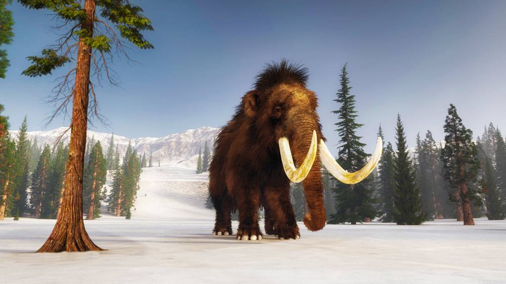 Pesquisa recupera momentos finais de animal que viveu há quase 40.000 anos