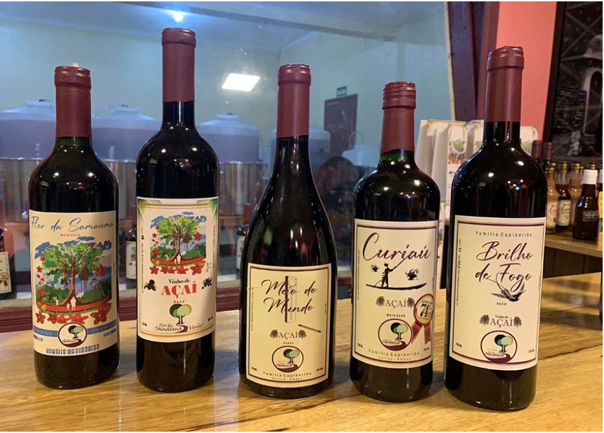 O vinho que Lula quer oferecer na COP30 não é vinho