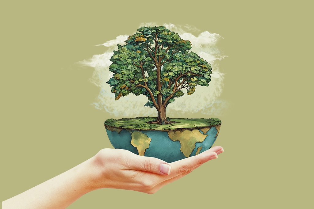 livros ambiente cop30