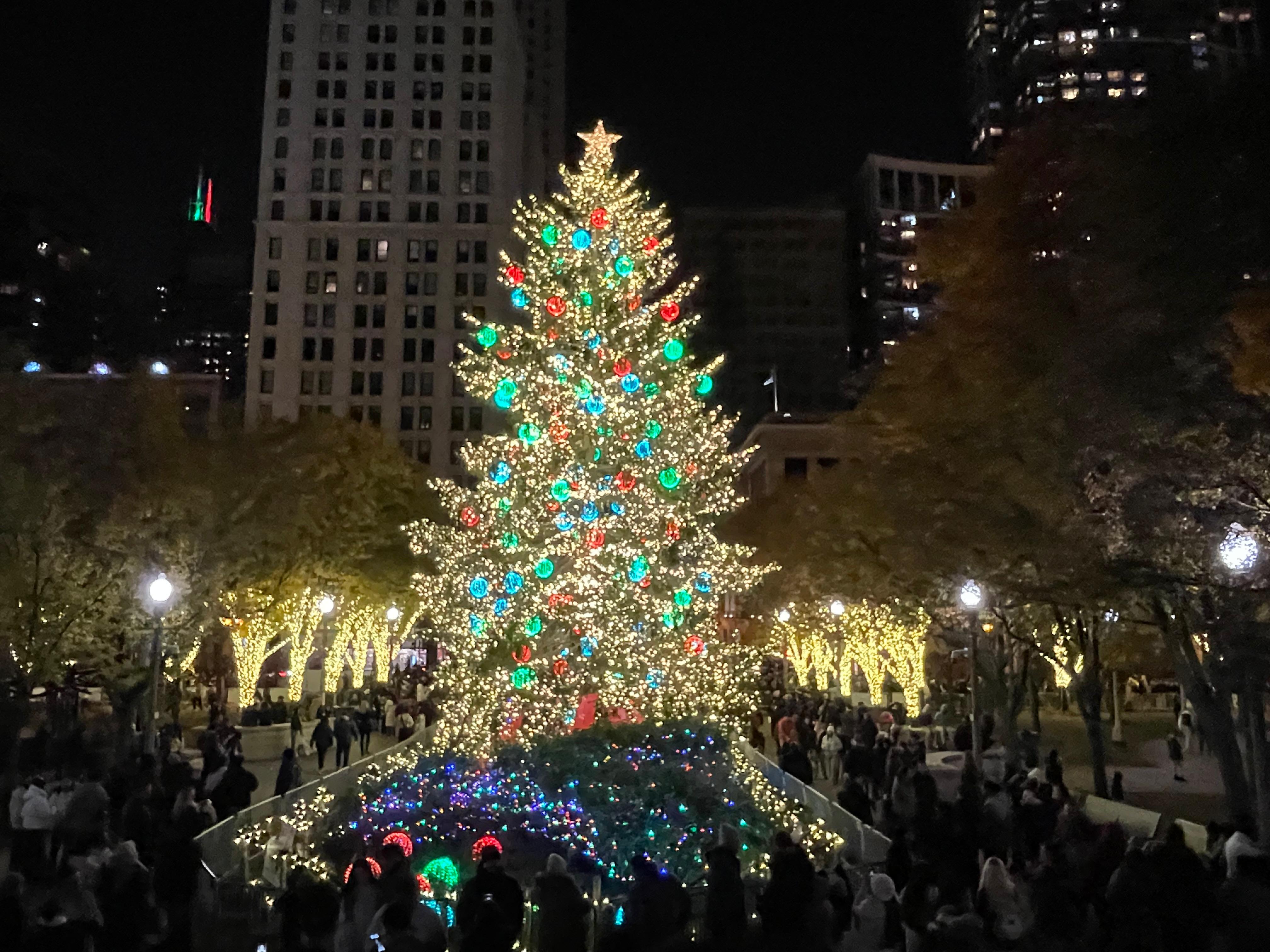 WhatsApp Image 2025-12-10 at 11.01.03