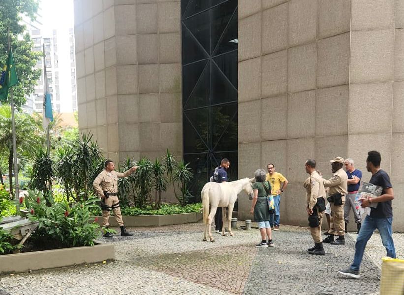 Cavalo invade sede da prefeitura do Rio após circular entre carros na Avenida Presidente Vargas
