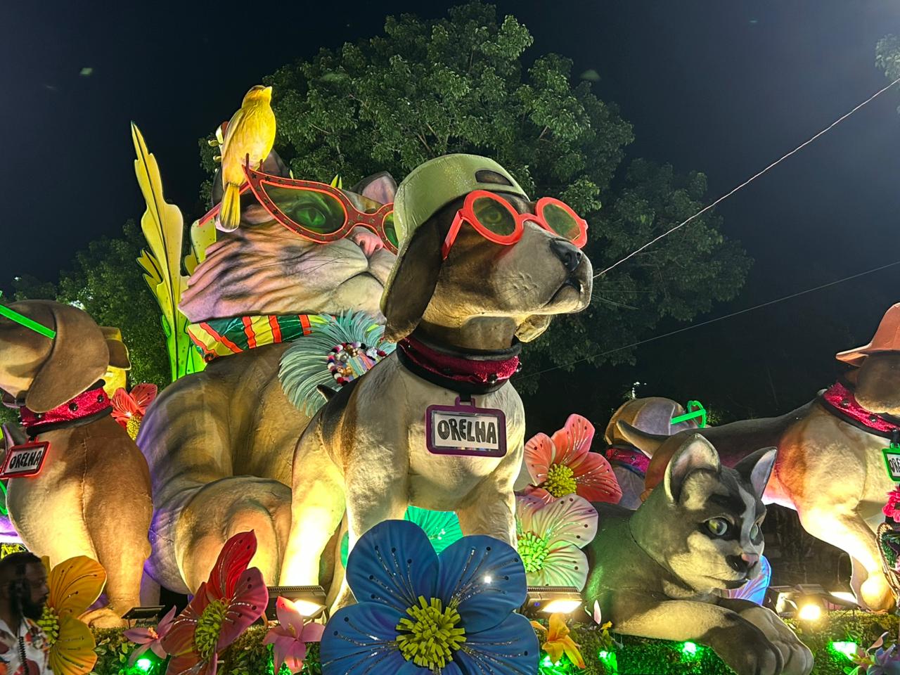 Cão Orelha ganha homenagem no desfile da Mocidade