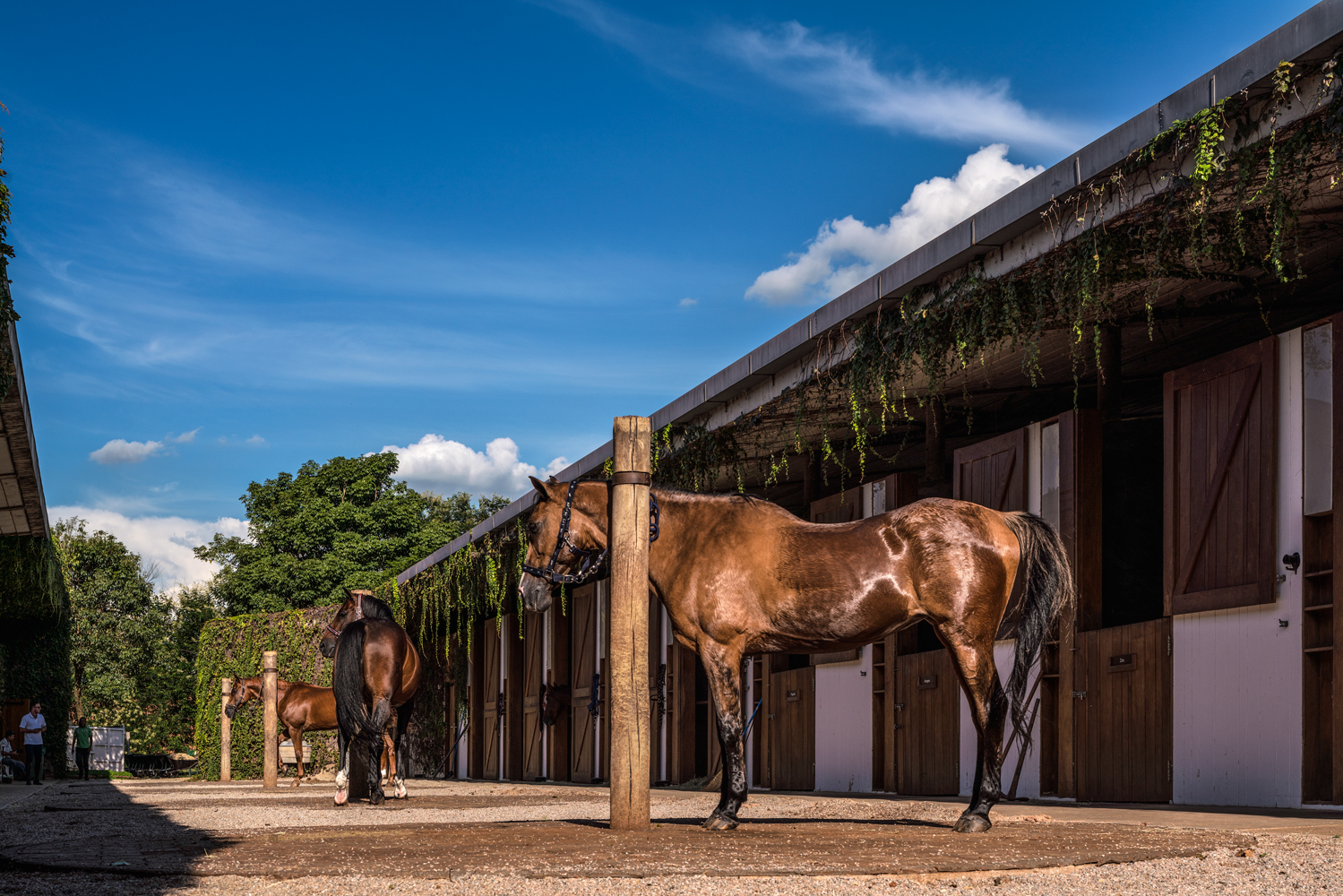 Centro Equestre na Fazenda Boa Vista: requinte perto de S&atilde;o Paulo
