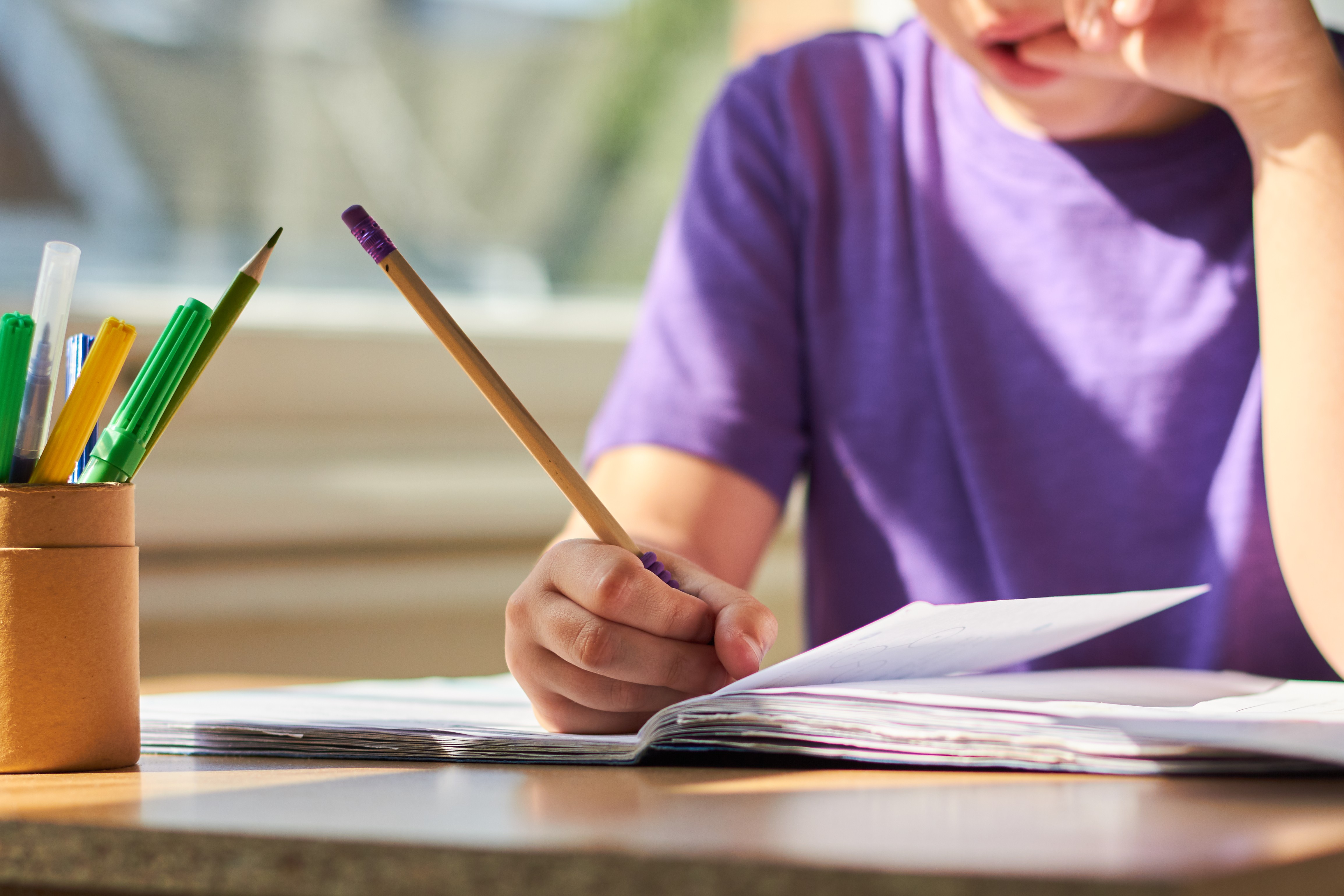 Rio vai discutir homeschooling após polêmica com influenciadores
