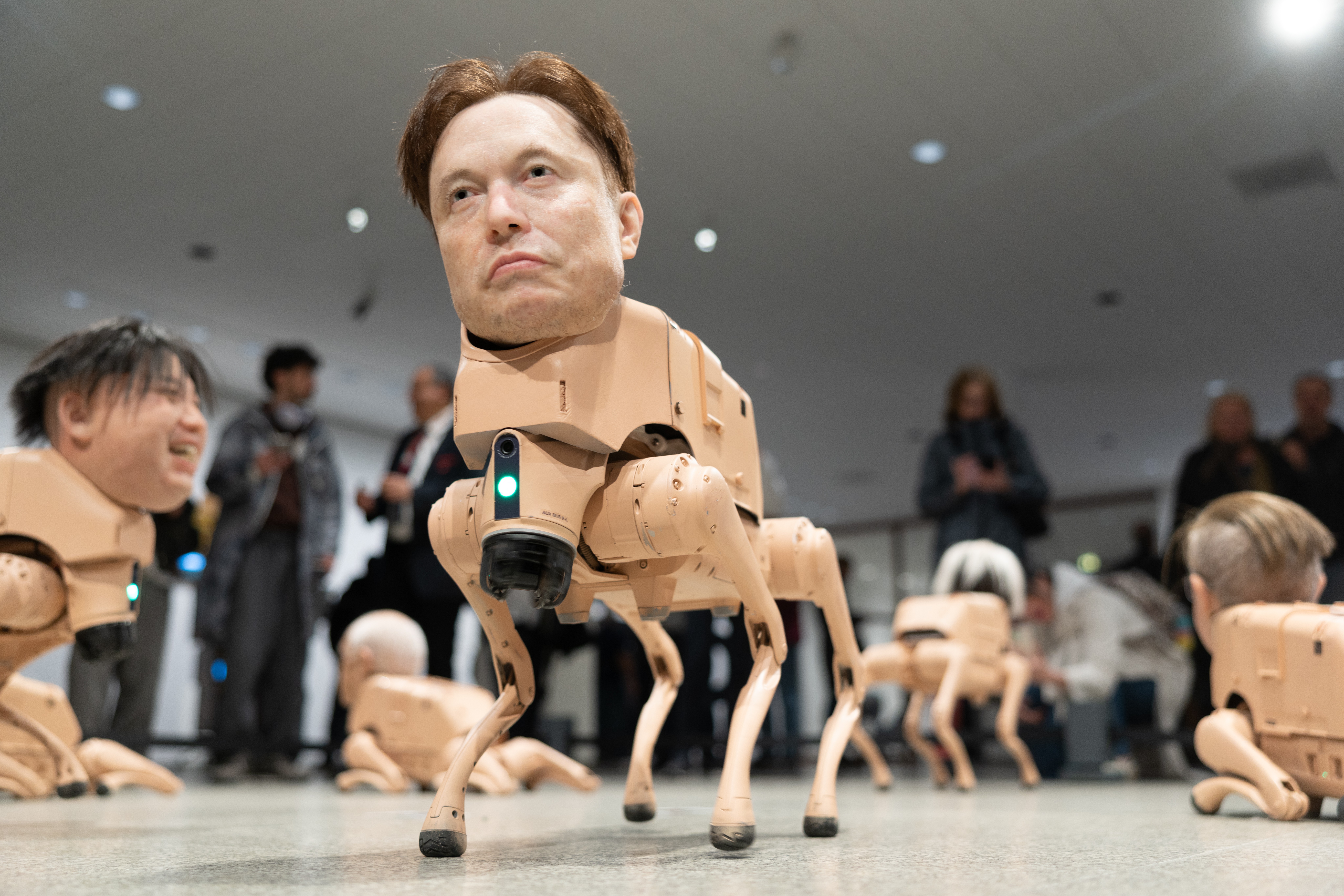 Robô com cabeça de Elon Musk