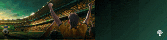 Torcedor de costas, vestindo camisa amarela, braços erguidos em comemoração dentro de um estádio de futebol lotado, com uma bola e a bandeira do Brasil no campo, sob um céu verde-azulado