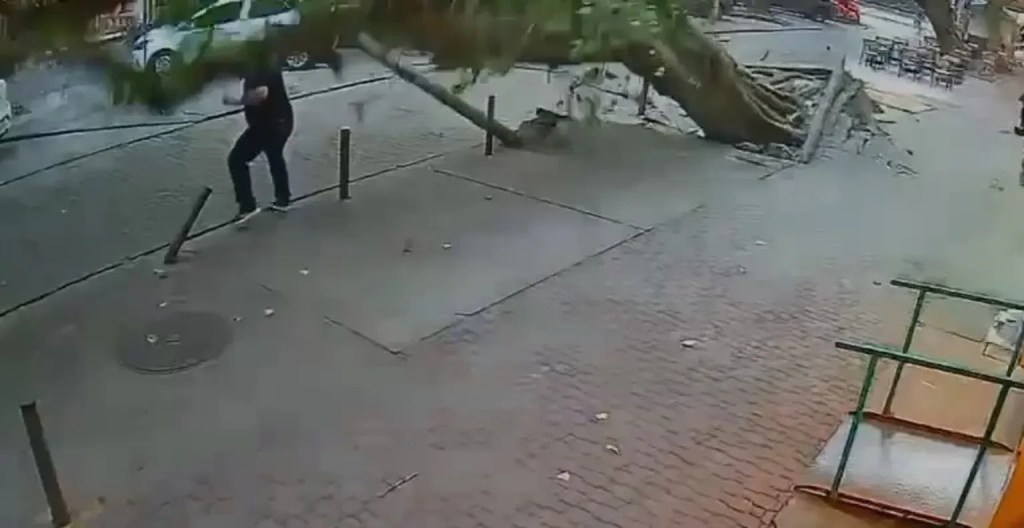 Vídeo mostra homem escapando por pouco de queda de árvore durante vendaval na Tijuca