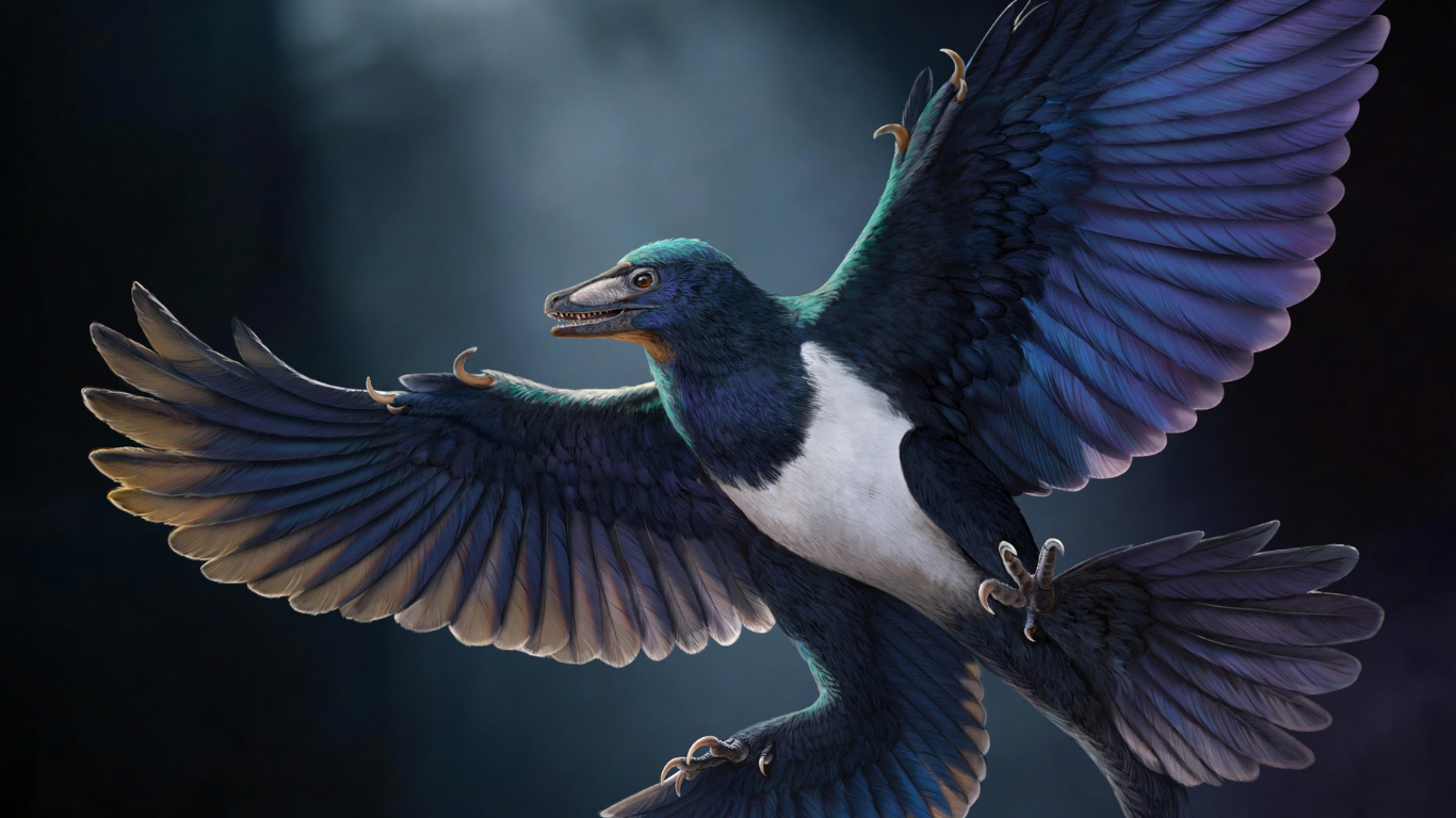 A evolução do voo contada a partir do fóssil de um dinossauro chinês com penas