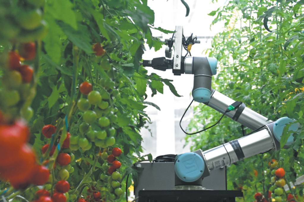 robotomatechina